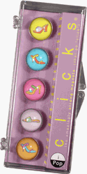 iPop Sandals Clicks 5 Pack Magnet Set