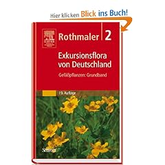 Rothmaler - Exkursionsflora von Deutschland. Bde. 1-4: Gesamtwerk. (1994-2005): Rothmaler - Exkursionsflora von Deutschland. Bd. 2: Gef��pflanzen: Grundband