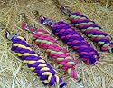 *Hot New Leads Cotton Lead Ropes with Snap