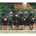   - For the Love of Rottweilers 2009 Deluxe Wall Calendar
