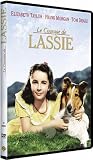 Le courage de lassie