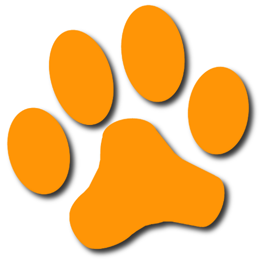 cat adoption