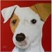 25 Pack Parson Russell Terrier Note Cards by Dick Larsen