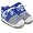Kentucky Wildcats