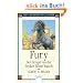Fury - Der Hengst von der Broken Wheel Ranch