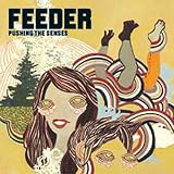 Pushing the Senses [VINYL]