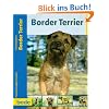 Border Terrier, Praxisratgeber