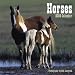 Book Horses
