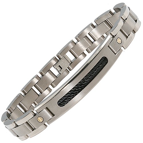 Titanium with 14K Gold Bracelet