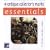 Antique Collector's Marks (Essential Series)