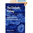 The Diabetic Kidney (Contemporary Diabetes) by Pedro Cortes
