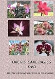 Orchid Care Basics