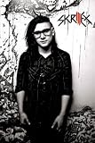 (24x36) Skrillex Black and White Music Poster Print