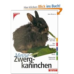Meine Zwergkaninchen