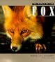 The World of the Fox