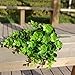Gogogo 1X Artificial Fake Green Plant Eucalyptus Yard Home Planter D¨¦cor Outdoor Decoration