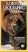 VHS : National Geographic's The Grizzlies