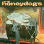 Honeydogs