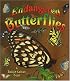 Endangered Butterflies (Earth's Endangered Animals)