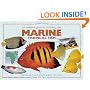 An Essential Guide to Choosing Your Marine Tropical Fish: A Detailed Survey of Over 60 Marine Fish Suitable for a First Collection (Tankmaster)