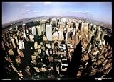 Manhattan Island (New York Skyline) Art Gold Wood-Mounted Poster Print - 26 X 39