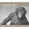 be a monkey expert