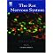 A basic neuroscience library