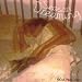 Season Dreaming [Vinyl]