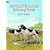 Favorite Dogs Coloring Book