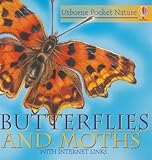 Butterflies and moths