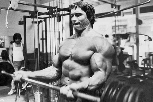 Arnold Schwarzenegge Body Building Nice Silk Fabric Cloth Wall Poster Print (36x24inch)