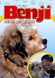 Benji at Work