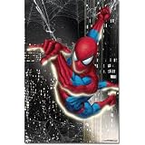 (22x34) Spider-Man Movie Glow in the Dark Poster Print