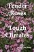 Tender Roses in Tough Climates Tender Roses in Tough Climates