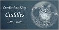 Laser Engraved Pet Memorial