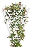 Duratrel 11157  Estate Heavy Duty Trellis White PVC 58 Inch x 94 Inch