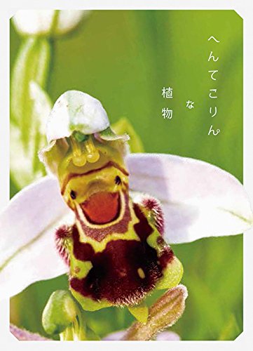 へんてこりんな植物