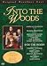 Into the Woods. [DVD]