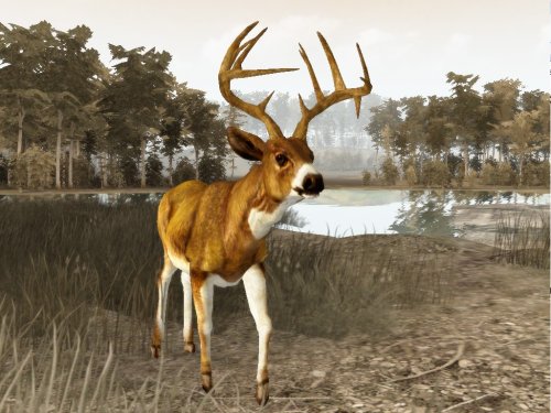 Cabela's Legendary Adventures image