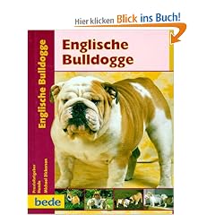 Englische Bulldogge, Praxisratgeber