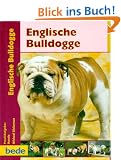 Englische Bulldogge, Praxisratgeber