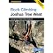 Rock Climbing Joshua Tree Essentials