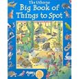 Big Book of Things to Spot (1001 Things to Spot) by Ruth Brocklehurst, Gillian Dogerty, Anna Milbourne, and Teri Gower