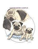 Pug - Trio Image by Cindy Farmer