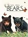 We Are Bears
