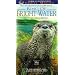 Ring of Bright Water [VHS]