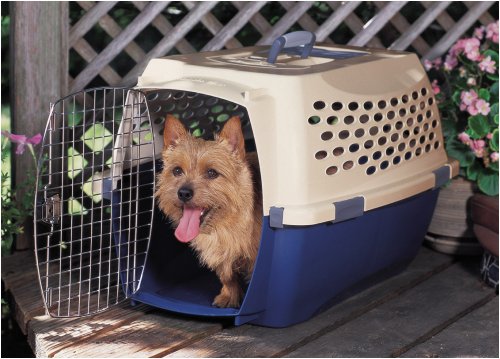 Petmate Kennel Cab Fashion Portable Kennel in Large