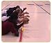 Citizenship-Teamwork-Photo-Finish