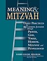 Meaning & Mitzvah: Daily Practices for Reclaiming Judaism through Prayer, God, Torah, Hebrew, Mitzvot and Peoplehood