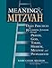 Book Meaning & Mitzvah: Daily Practices for Reclaiming Judaism through Prayer, God, Torah, Hebrew, Mitzvot and Peoplehood